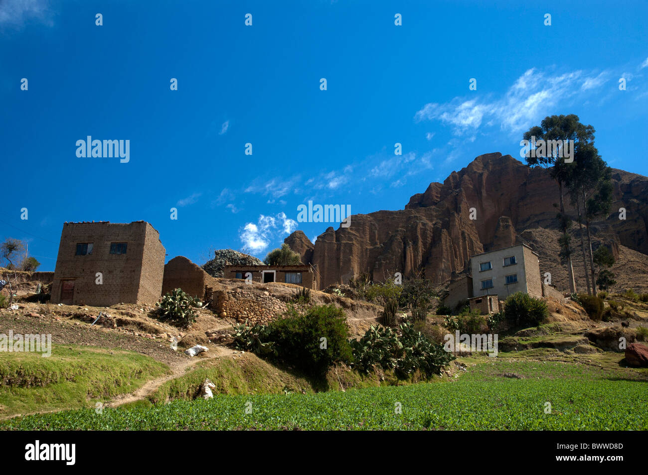 A lonely house under the high rock walls of Palca Canyon, La Paz, Bolivia. Stock Photo
