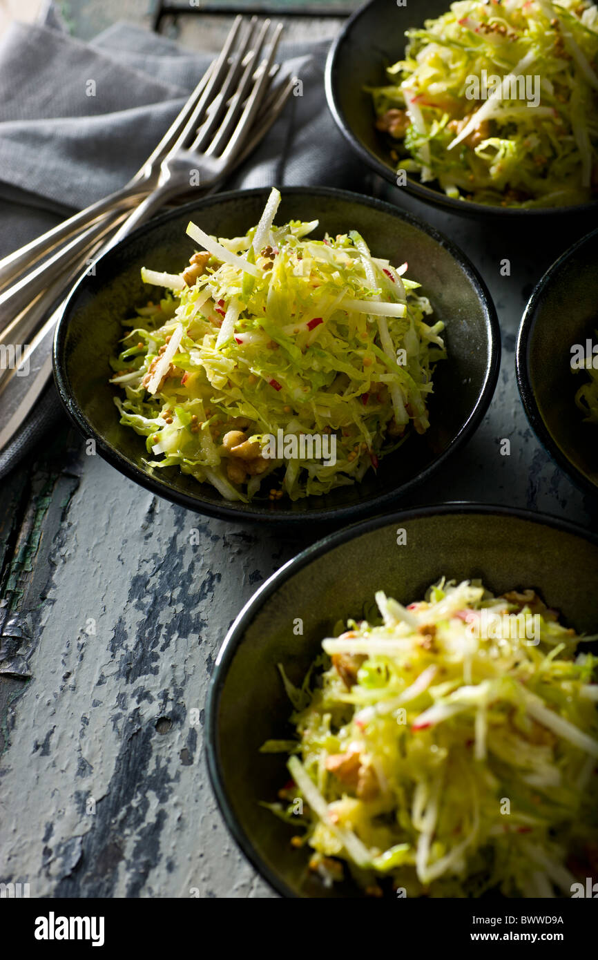 Savoy Cabbage Slaw with Apples, Radishes and Mustard Seed Vinaigrette. Stock Photo