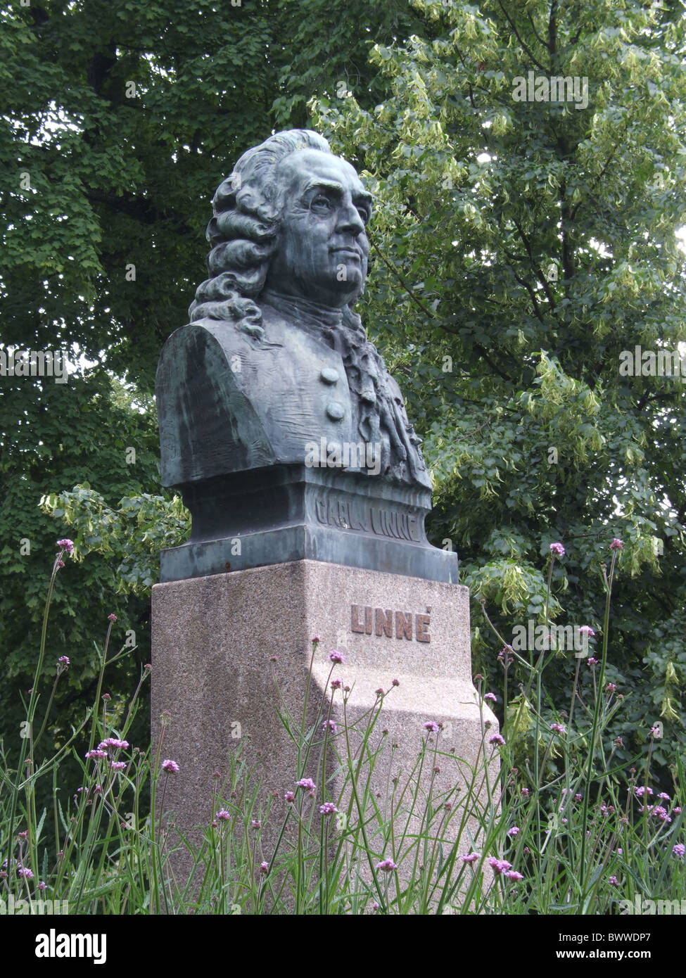 Carl Linnaeus Statue Linne Linneus Vaxjo Sweden Europe scientist bust