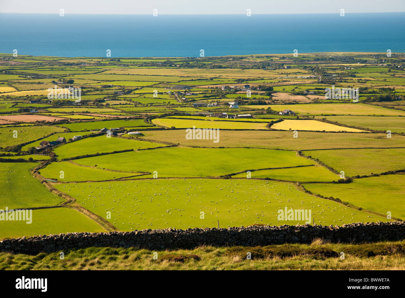 View from Mynnyd Rhiw across the Llyn peninsula looking North West across fields to the sea. Sheep visible in patchwork fields Stock Photo