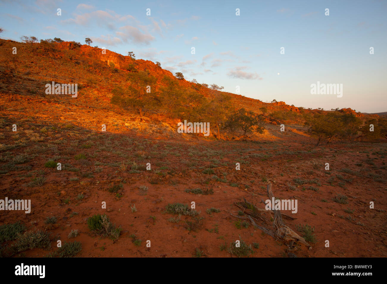 Early morning light in Mutawintji National Park, Broken Hill Stock Photo
