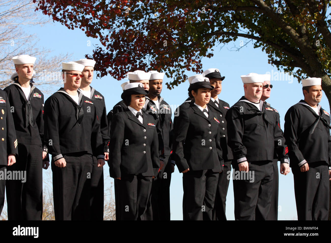 Veterans day word cloud