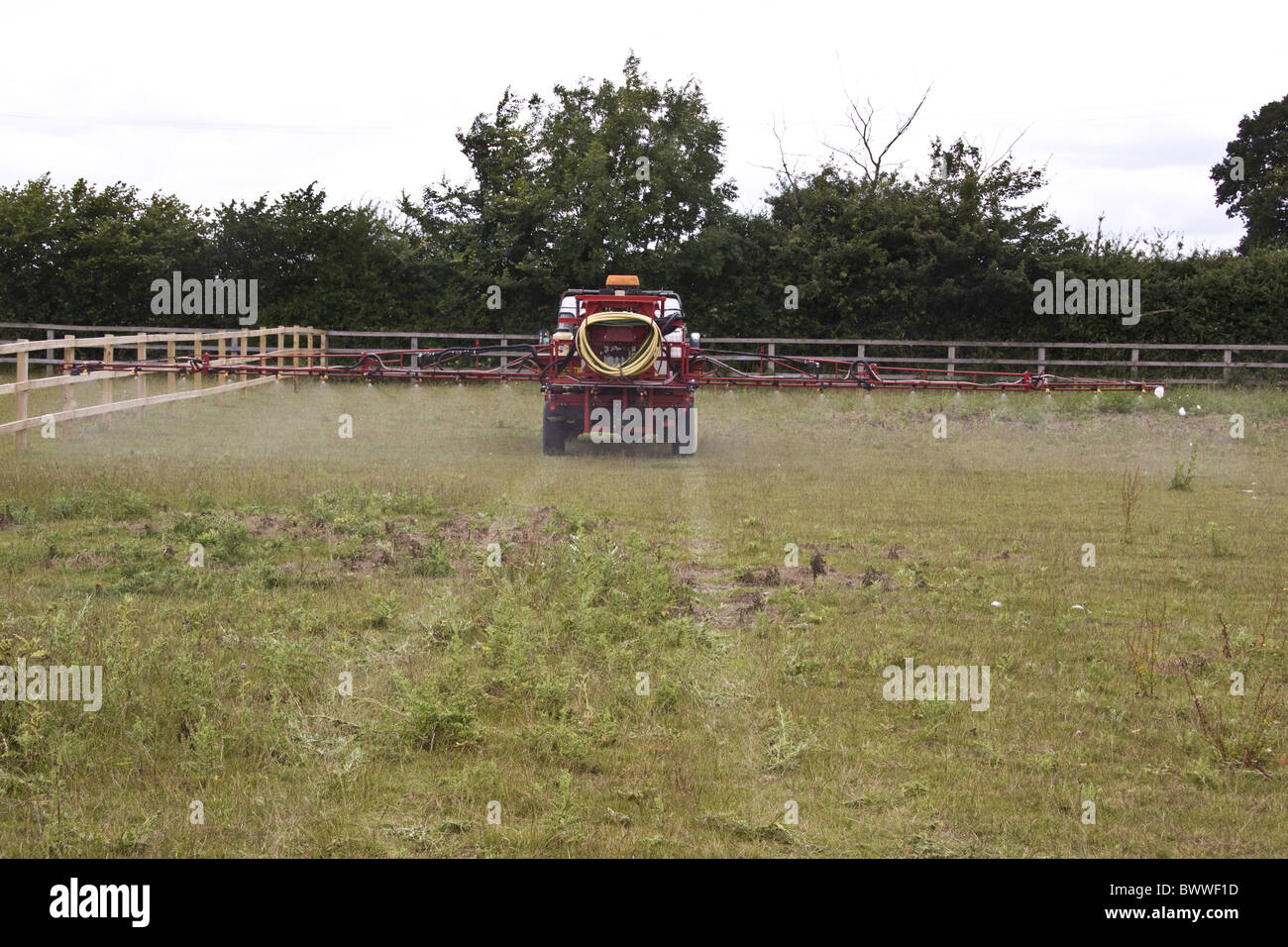 Broad leaved weeds hi-res stock photography and images - Alamy