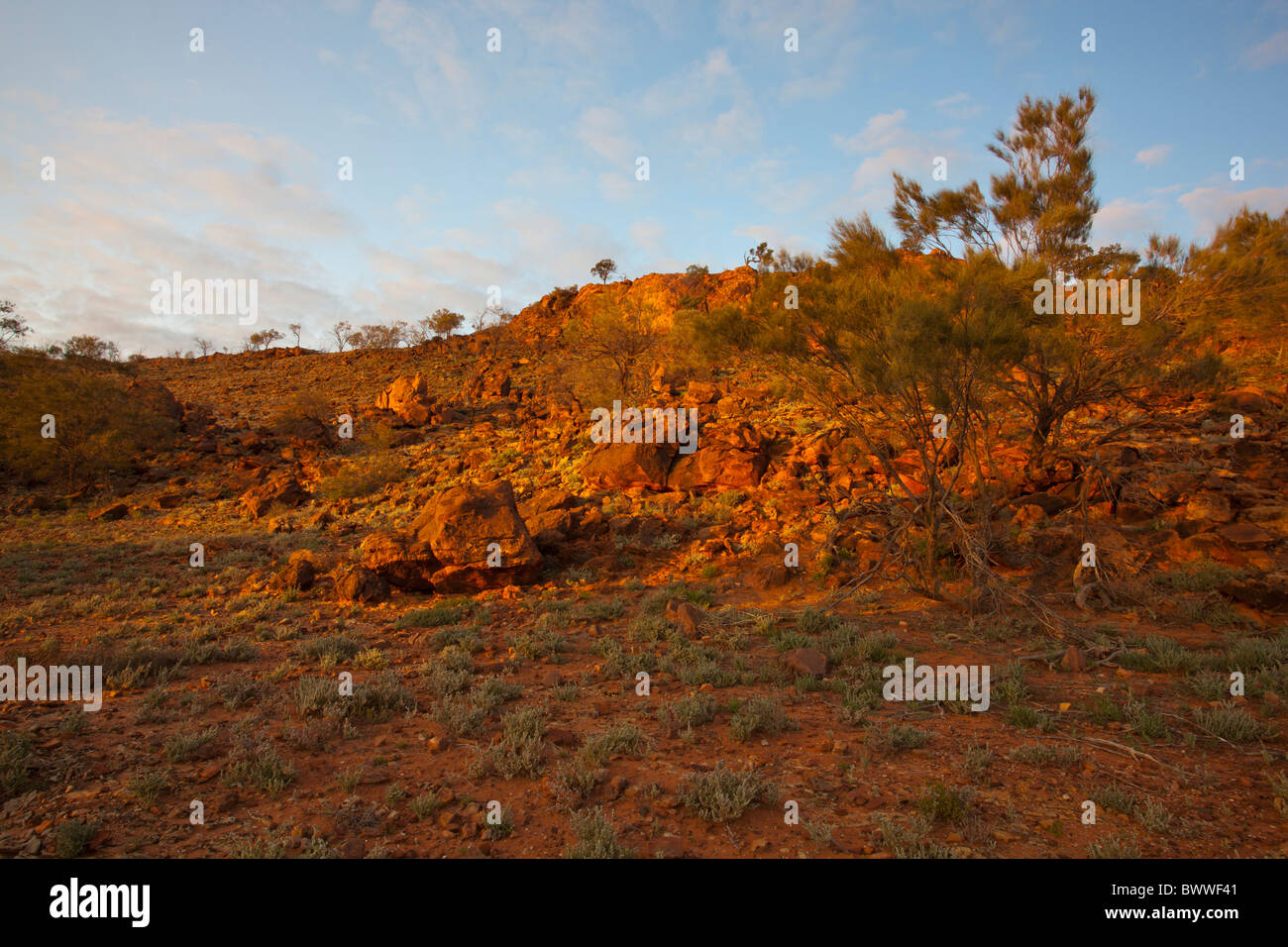 Golden sunrise on Byngnano Range and orange/red rocks at Green Head, Mutawintji National Park, New South Wales Stock Photo