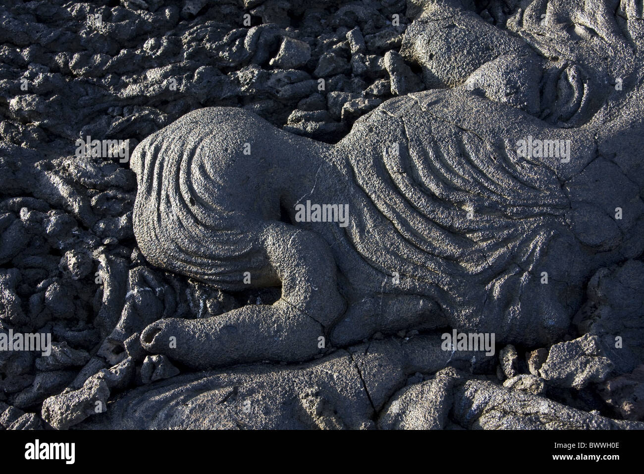 Containing patterns hi-res stock photography and images - Alamy