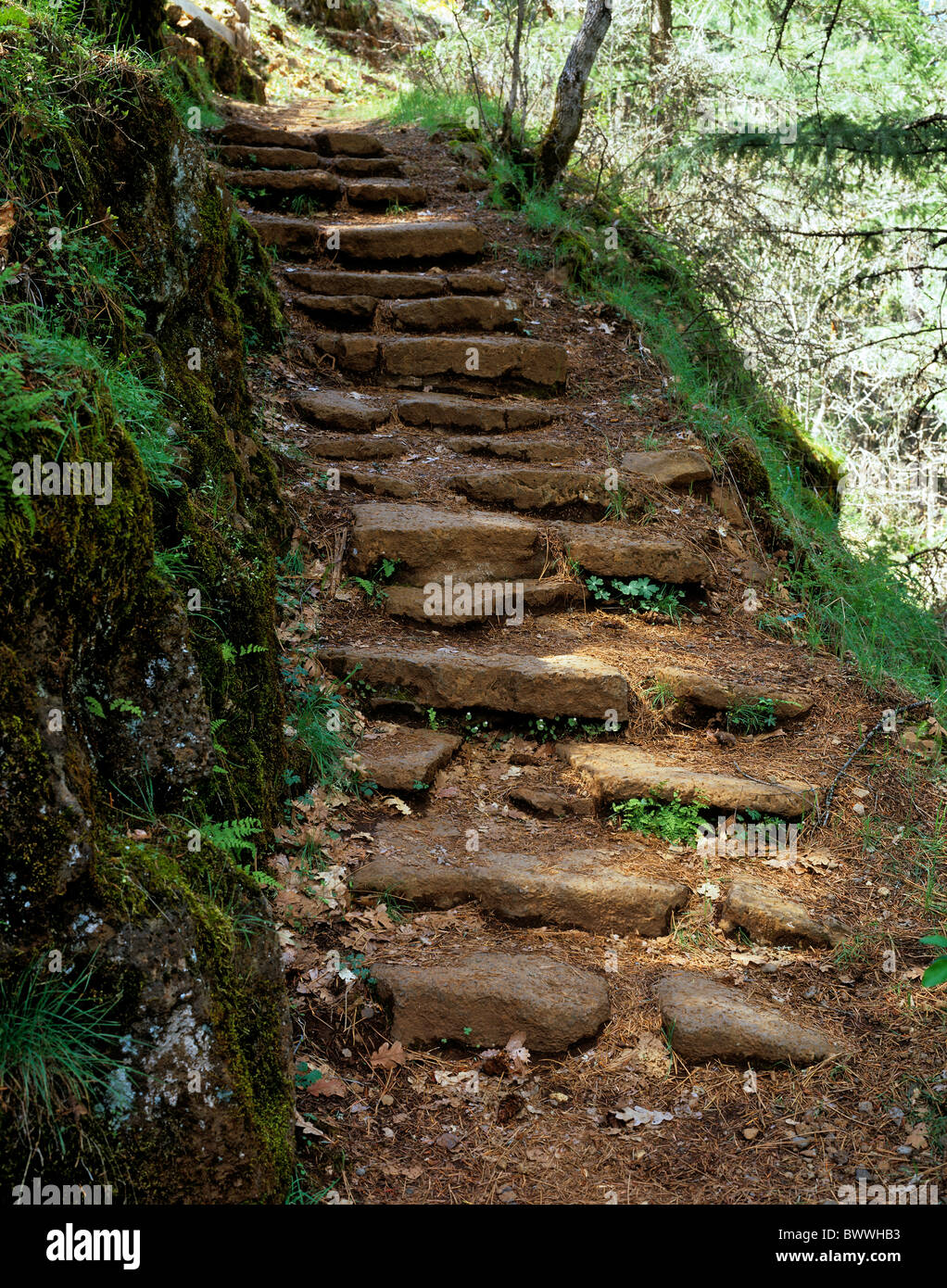 Stone hiking trail steps hi-res stock photography and images - Alamy