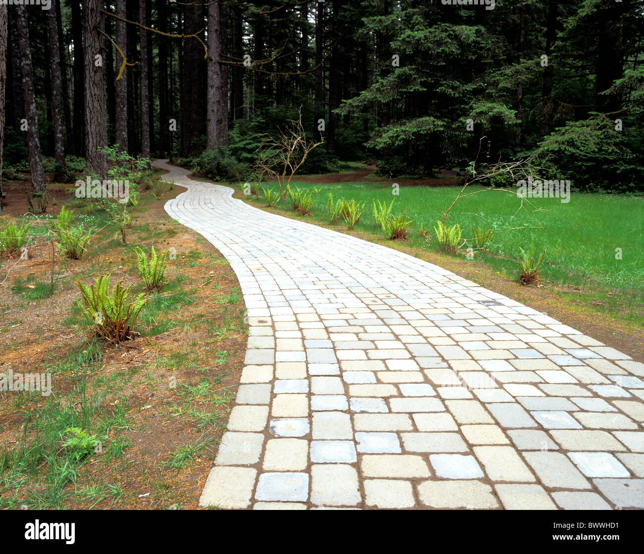 Stone path walkway hi-res stock photography and images - Alamy