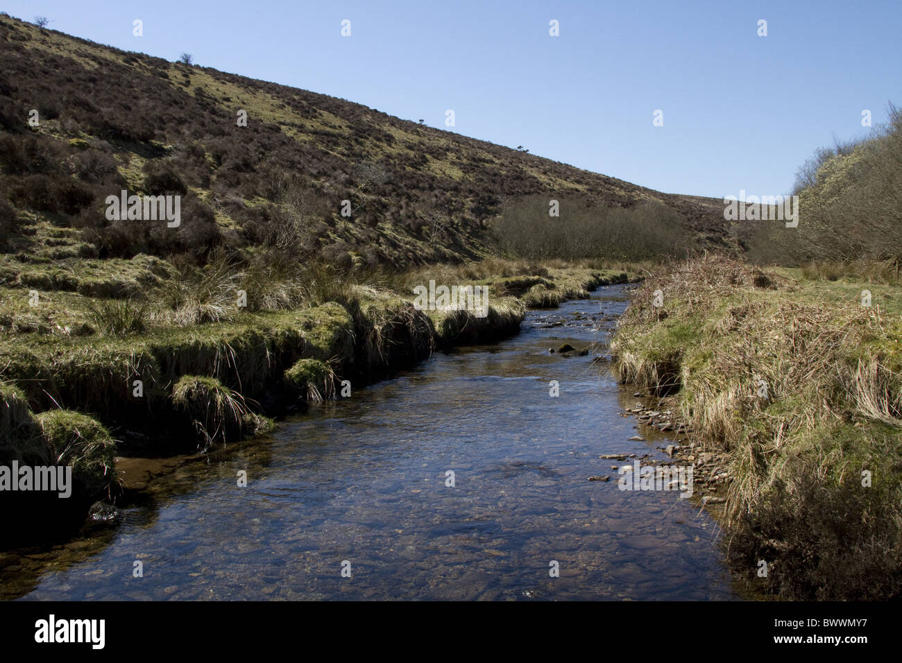 Danes brook hi-res stock photography and images - Alamy