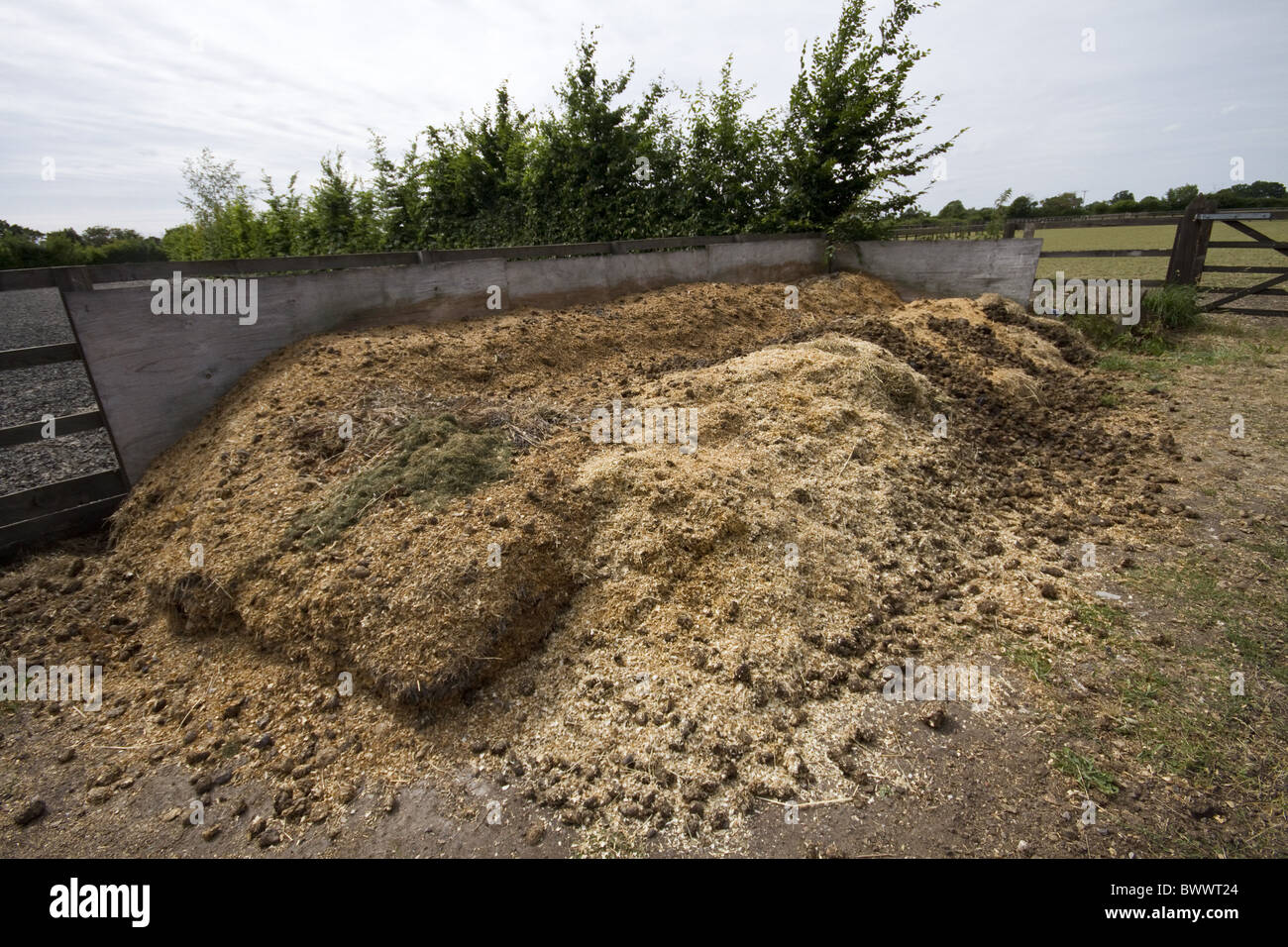 Muck heap Stock Photo Alamy