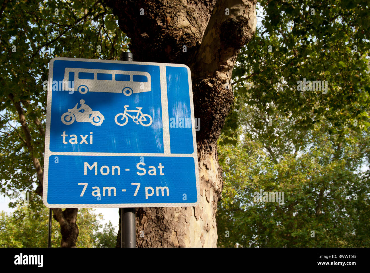 london bus lane restrictions sign post taxi cycle Stock Photo Alamy