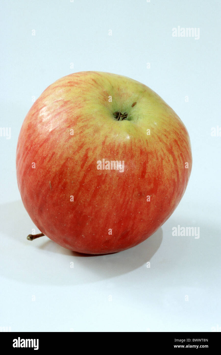 Apple (Malus domestica), variety: Idared, studio picture. Stock Photo