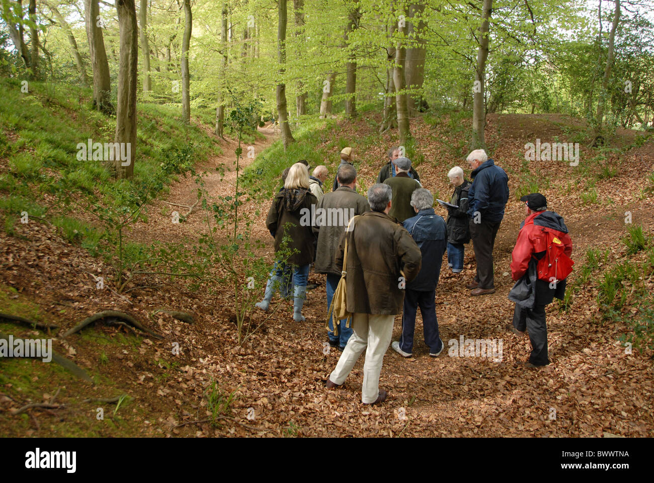 Guided archaeological group examining remains of Iron Age hillfort, Cholesbury Common, Chilterns, Buckinghamshire, England, Stock Photo