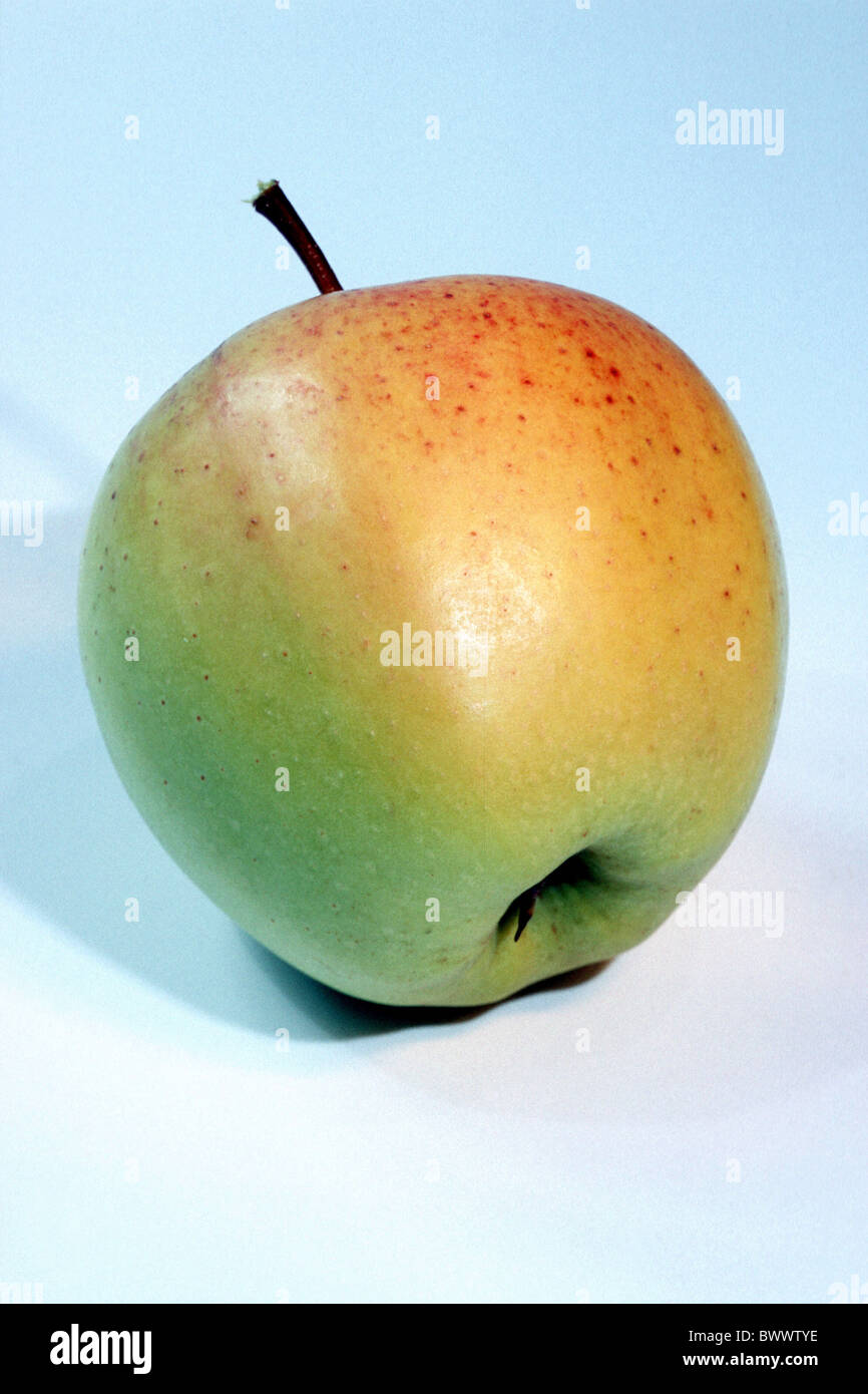 Domestic Apple (Malus domestica), variety: Golden Delicious, studio picture. Stock Photo