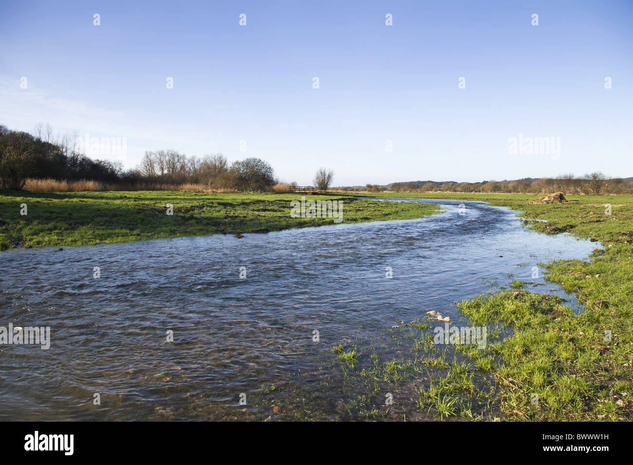 britain british england english europe european habitat habitats salmon