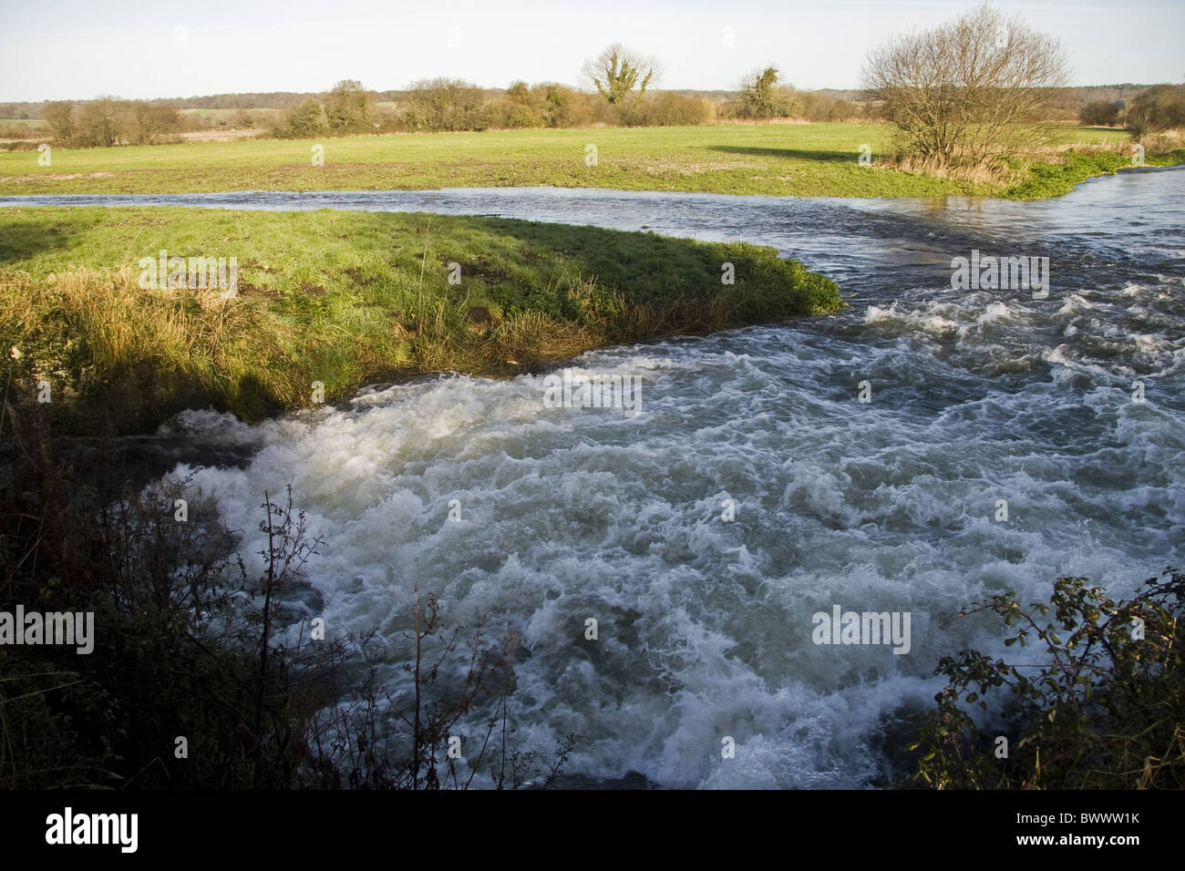 britain british england english europe european habitat habitats salmon