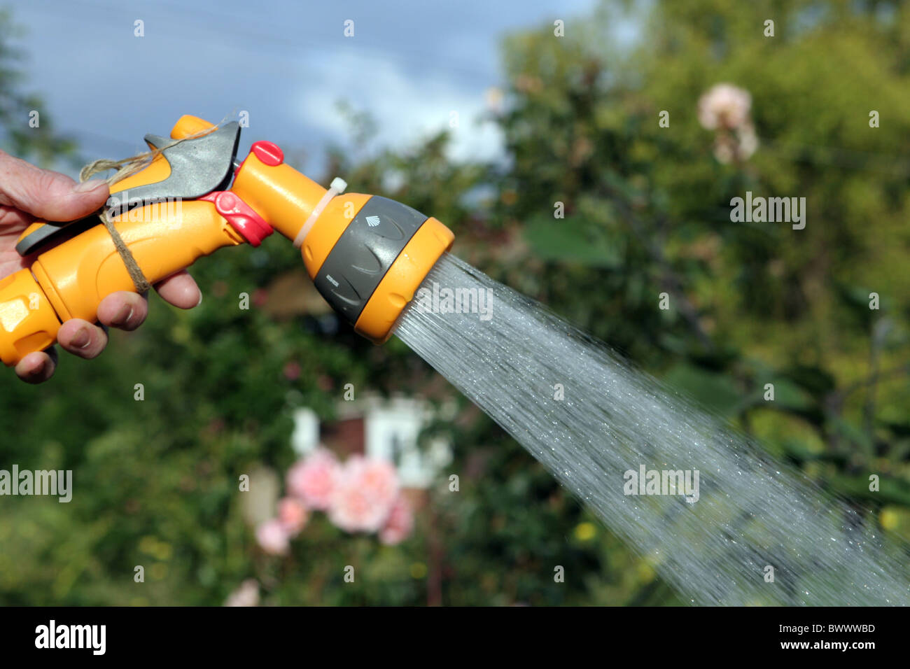 Water spray from head of hosepipe Stock Photo