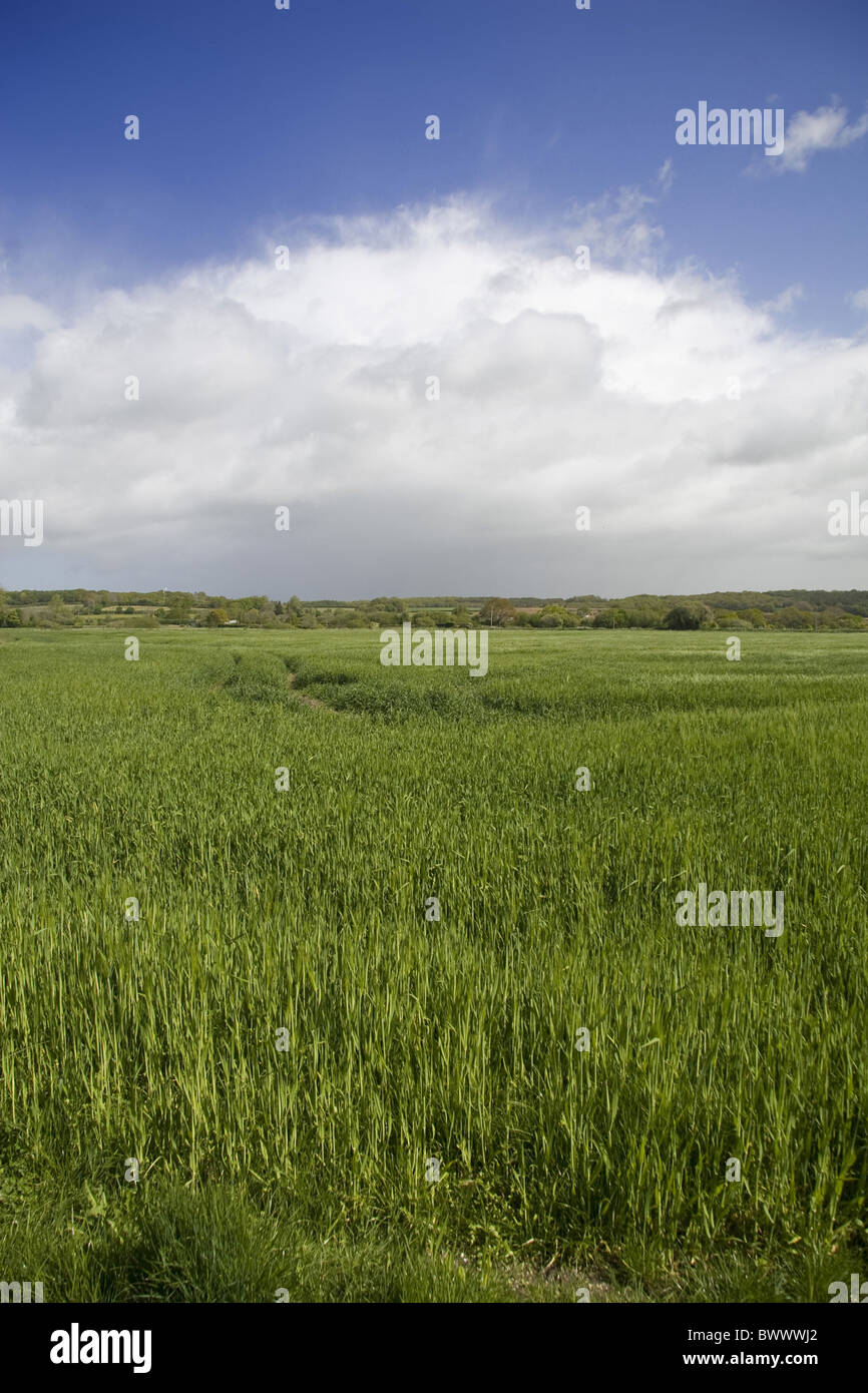 britain british england english europe european weather cloud clouds