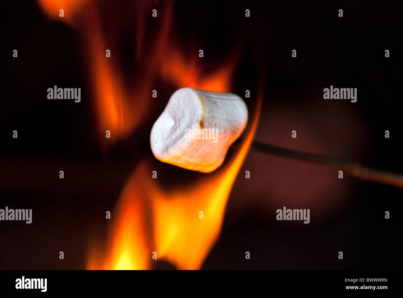 Marshmallow on a stick over the fire Stock Photo Alamy