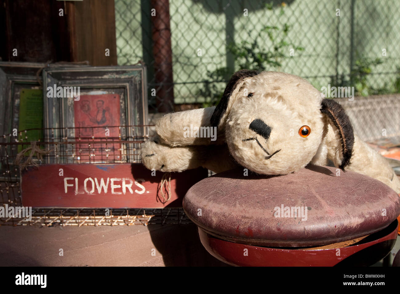 A selection of second hand and vintage goods for sale at Rozelle Market