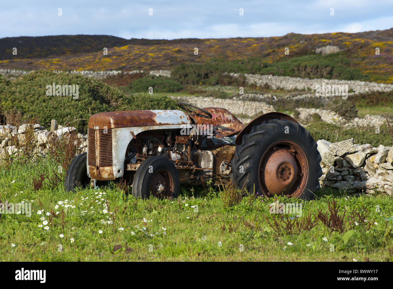 Anglesey Ferguson Grey Fergy T20 Wales coast old rust tractor farm
