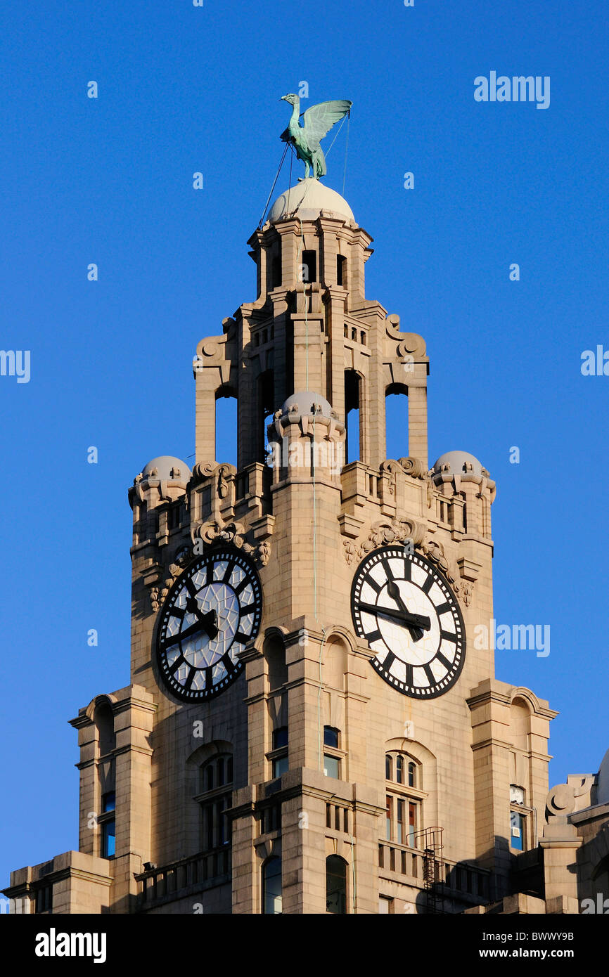 The Royal Liver Clock, Royal Liver Building, Liverpool, Merseyside, North West England, United Kingdom Stock Photo