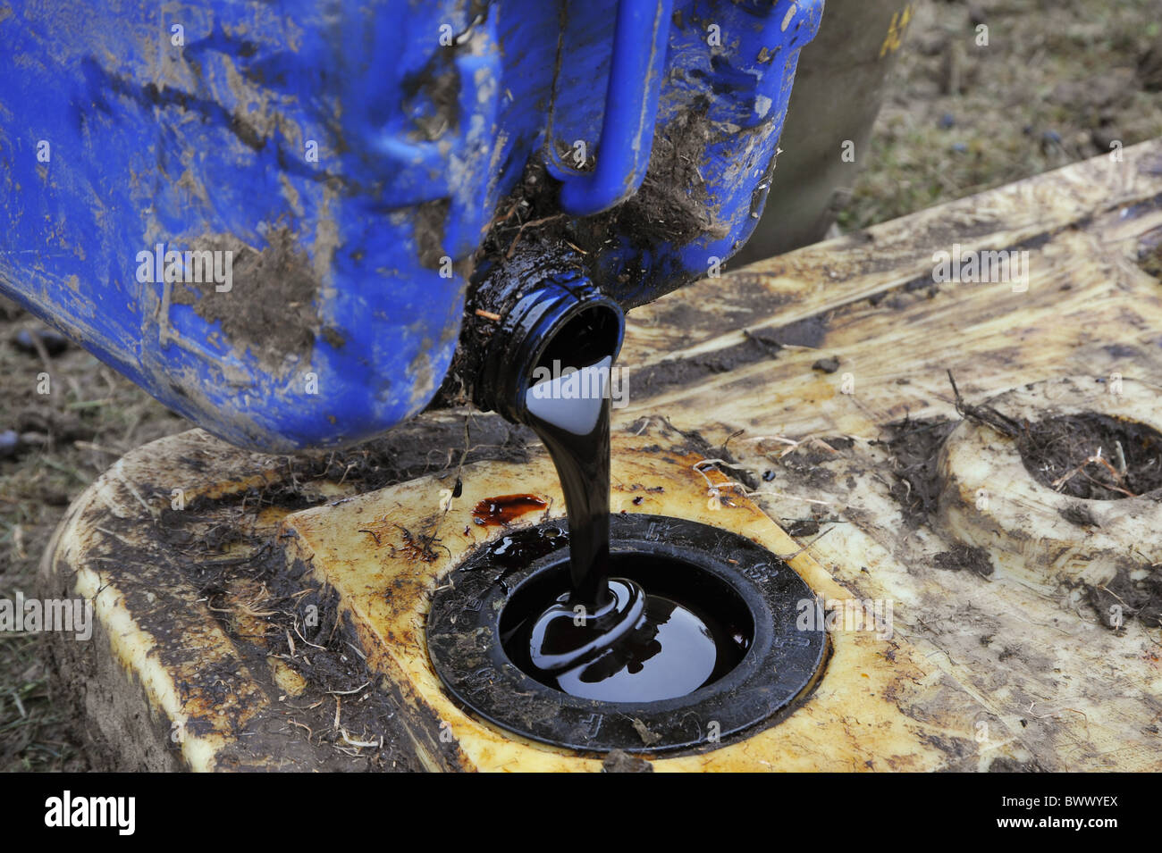 molasses Lancashire Chipping lick feed liquid farm farms farming sheep