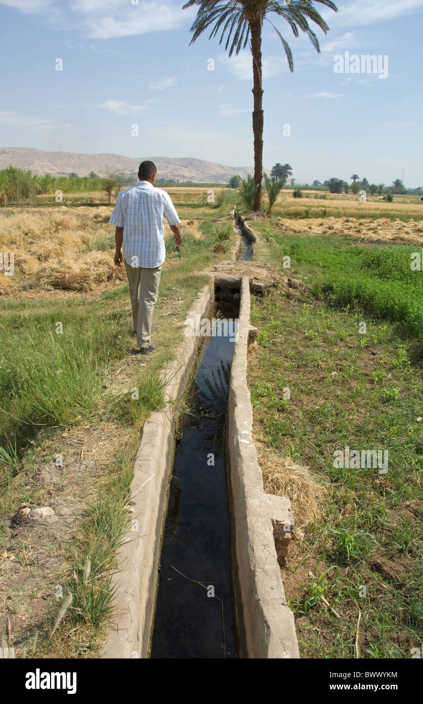 Features of irrigational agriculture in ancient Egypt 66 Features of irrigational agriculture in ancient Egypt 21