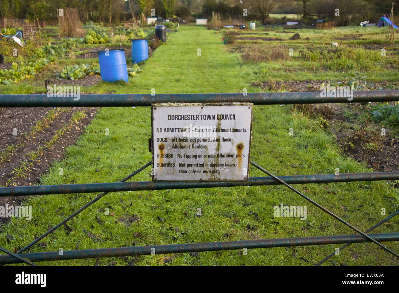 Allotment Allotments Britain Britain British British Compost Composting