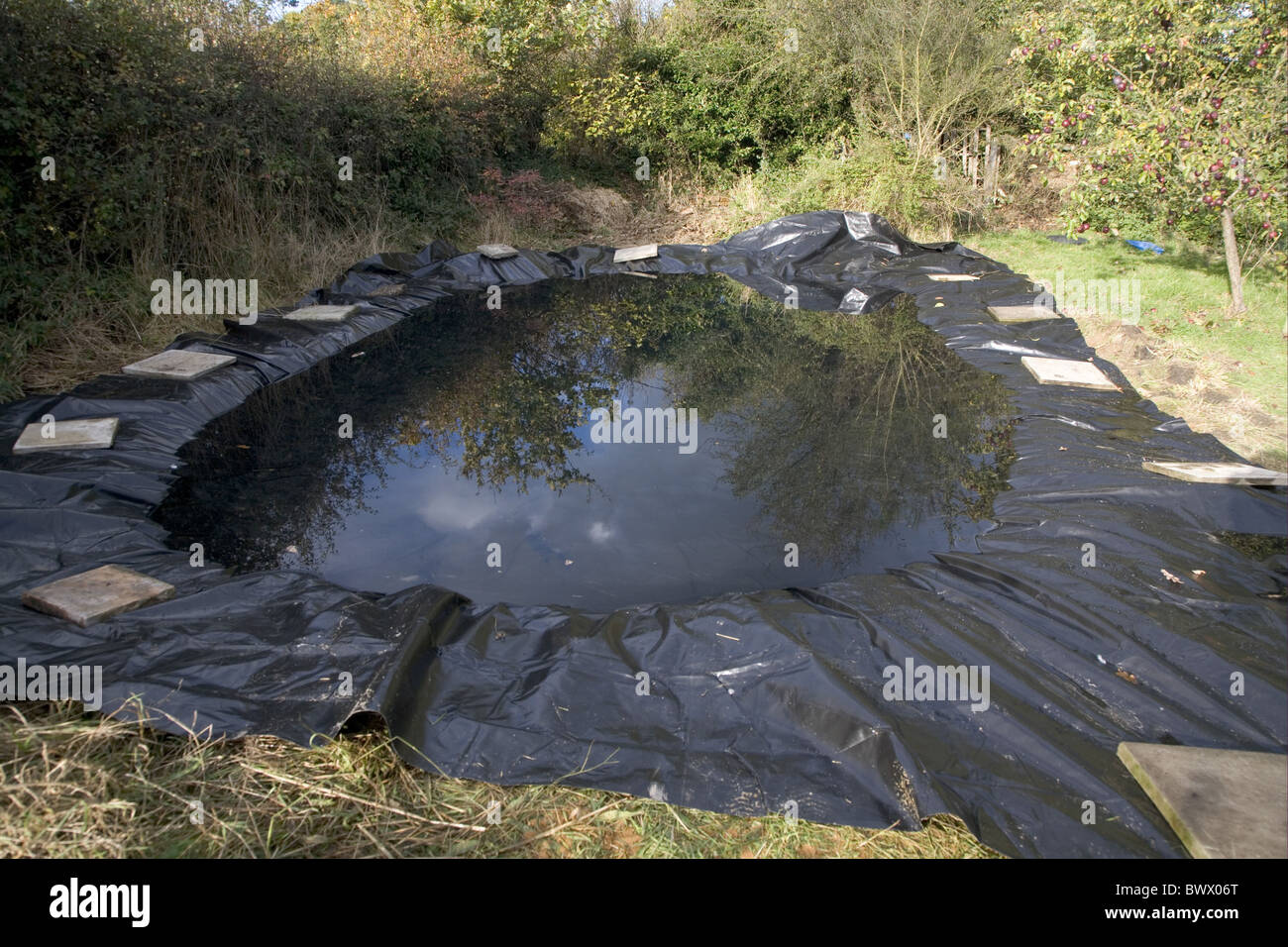 Creating new garden pond, with pond liner nearly full of water, paving slabs holding in position, Bentley, Suffolk, England, Stock Photo