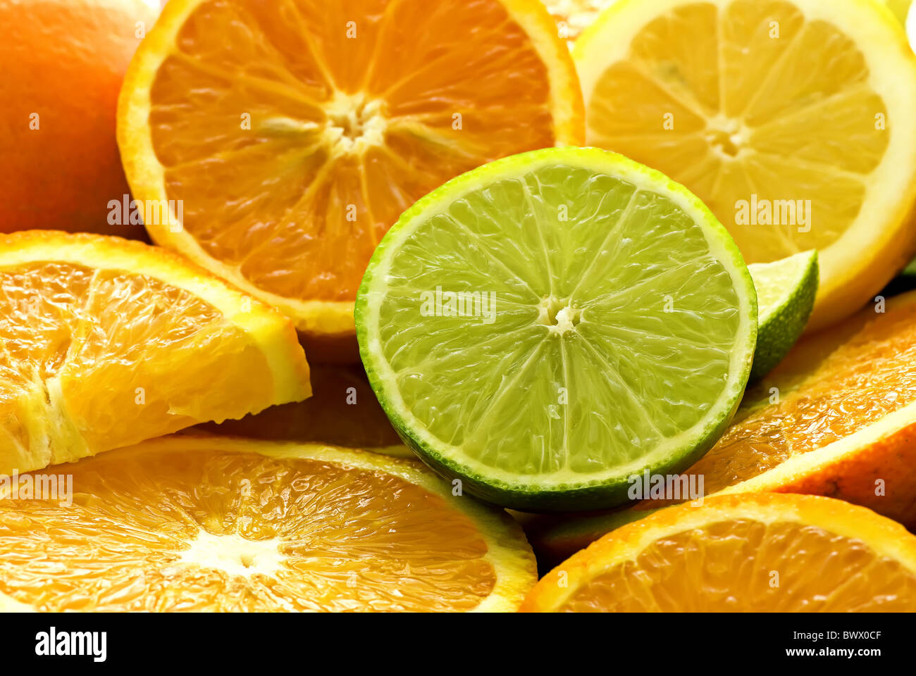 Oranges And Limes Stock Photo   Alamy