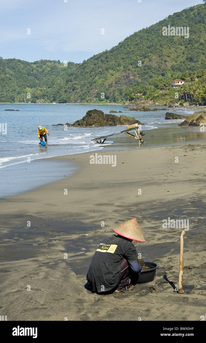 Men sifting through sand for gold tropical beach Stock Photo Alamy
