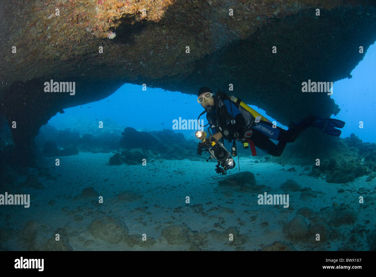 Diver Cave Camera Torch Underwater Diving Sea Christmas Island