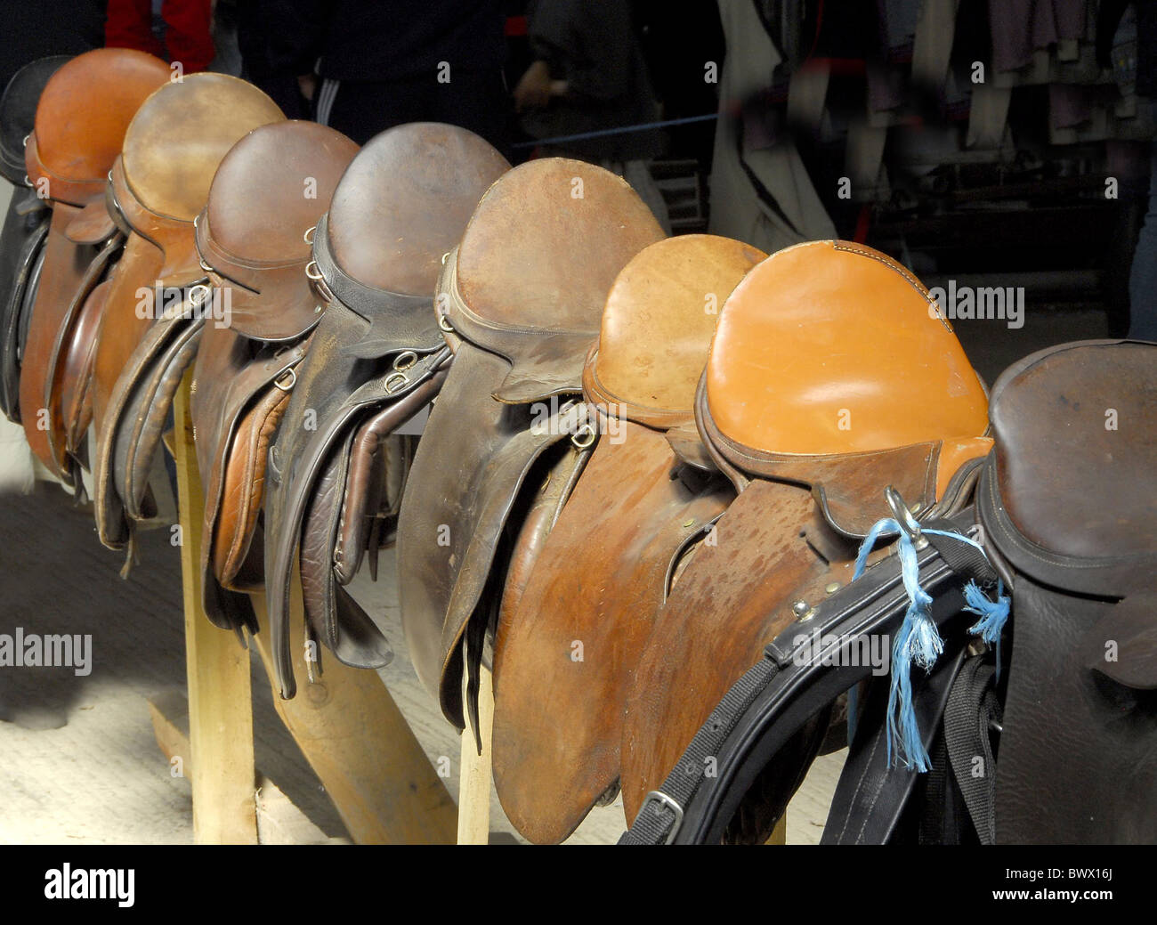 Saddles for sale Beeston Horse Pony Show Cheshire Stock Photo Alamy