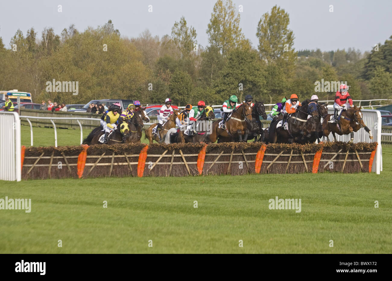Horse racing Thoroughbred racehorses jumping Stock Photo