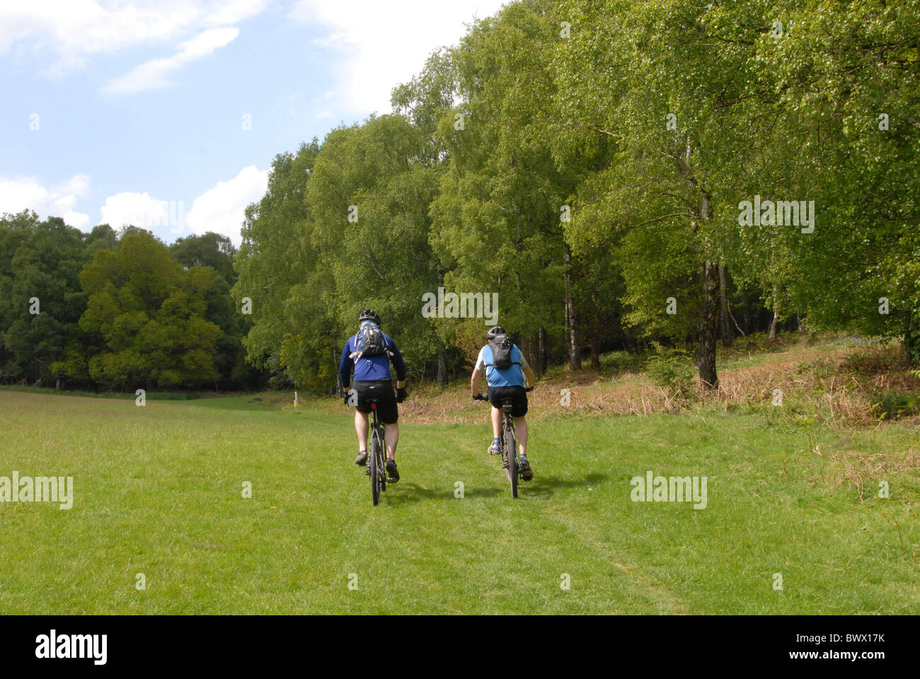bikers bikes path forest wood woodland ashridge spring chilterns pastime pastimes bike bikes cycle cycles cycling bicycle Stock Photo
