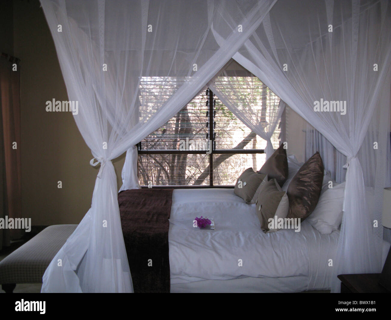 Mosquito nets tourist lodge bedroom South Africa Stock Photo Alamy