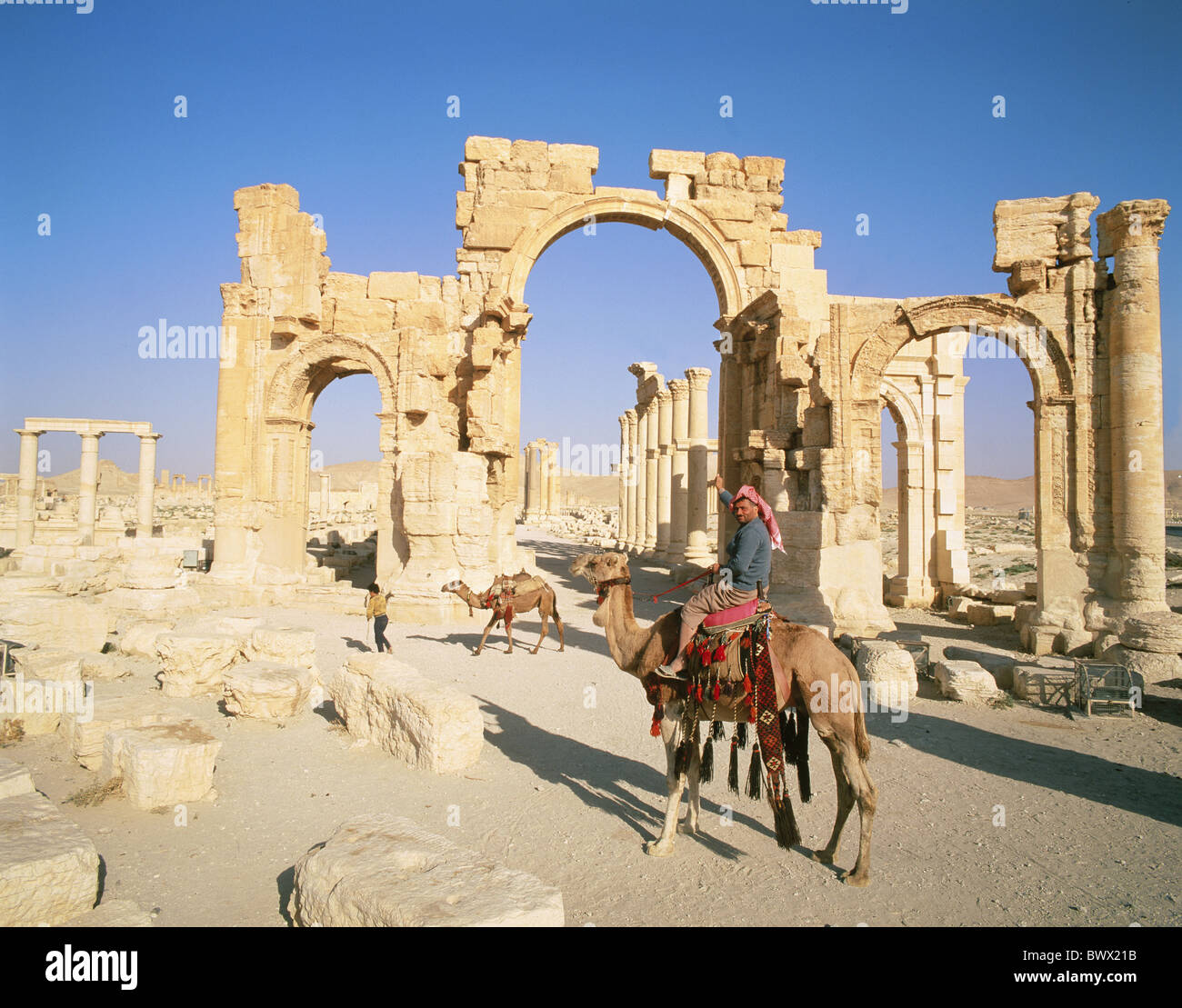curves local camel rider Palmyra ruins Syria Ancient world antiquity Stock Photo