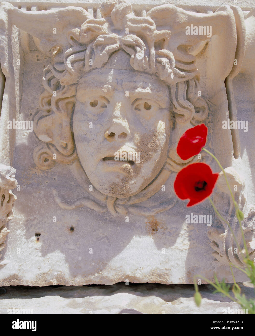 Medusa head hires stock photography and images Alamy