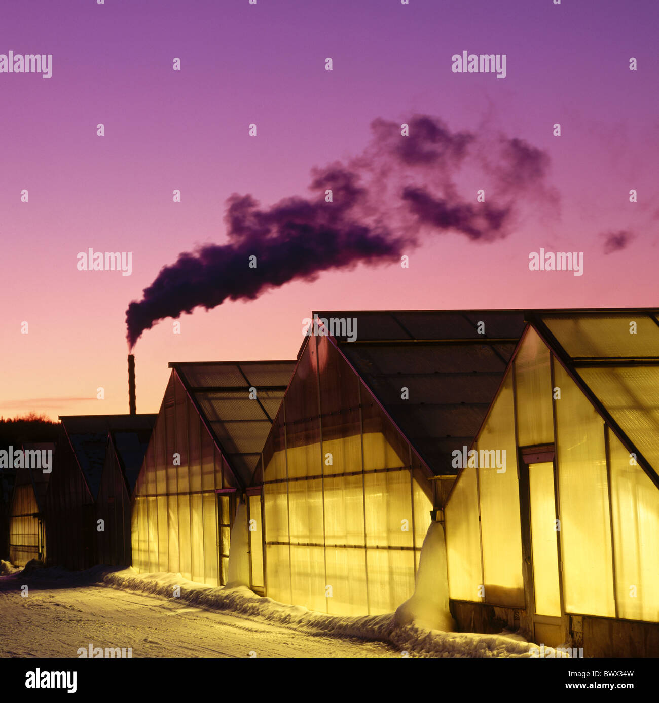 illuminated 10221534 outside market garden greenhouses heating at night