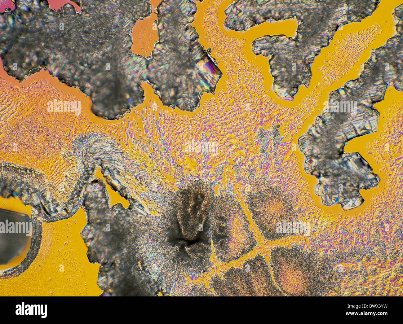 chemistry amino acids L Alanin structure colors microscope microscopy Stock Photo Alamy