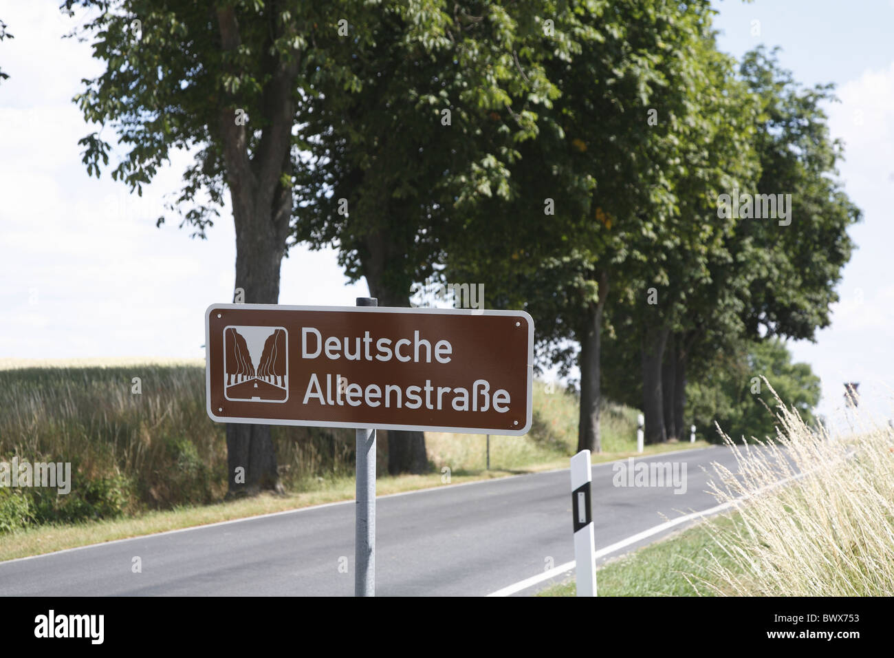 Deutsche Alleenstraße Stock Photo