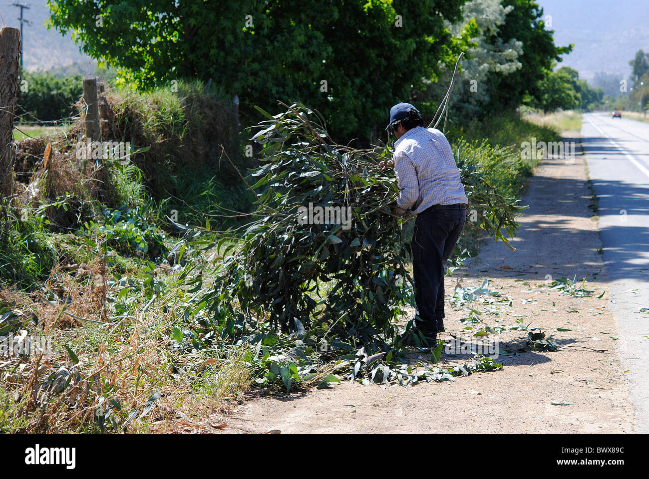 Epwe Rural Cleaning Farmer in rural cleaning Stock Photo - Alamy