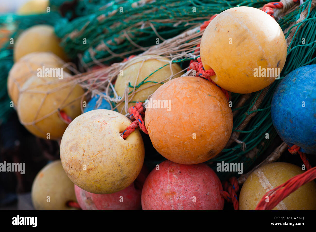 close-up of colorful fishing net with buoys Stock Photo - Alamy
