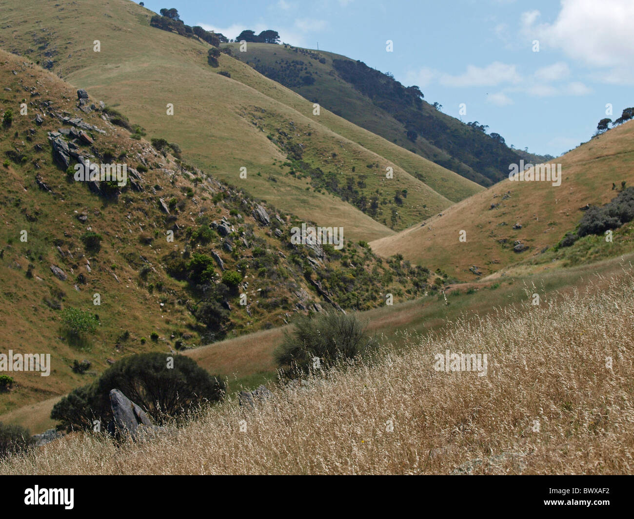 😍 Interlocking spurs. River Landforms. 20190225
