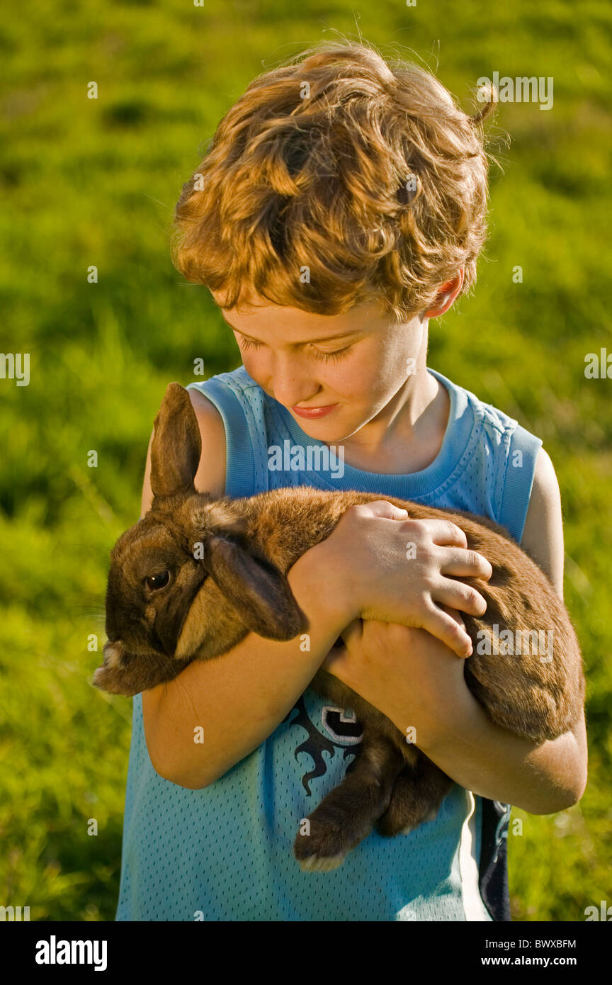 Boy-8 years old-model released-Holland- Holding rabbit Stock Photo - Alamy