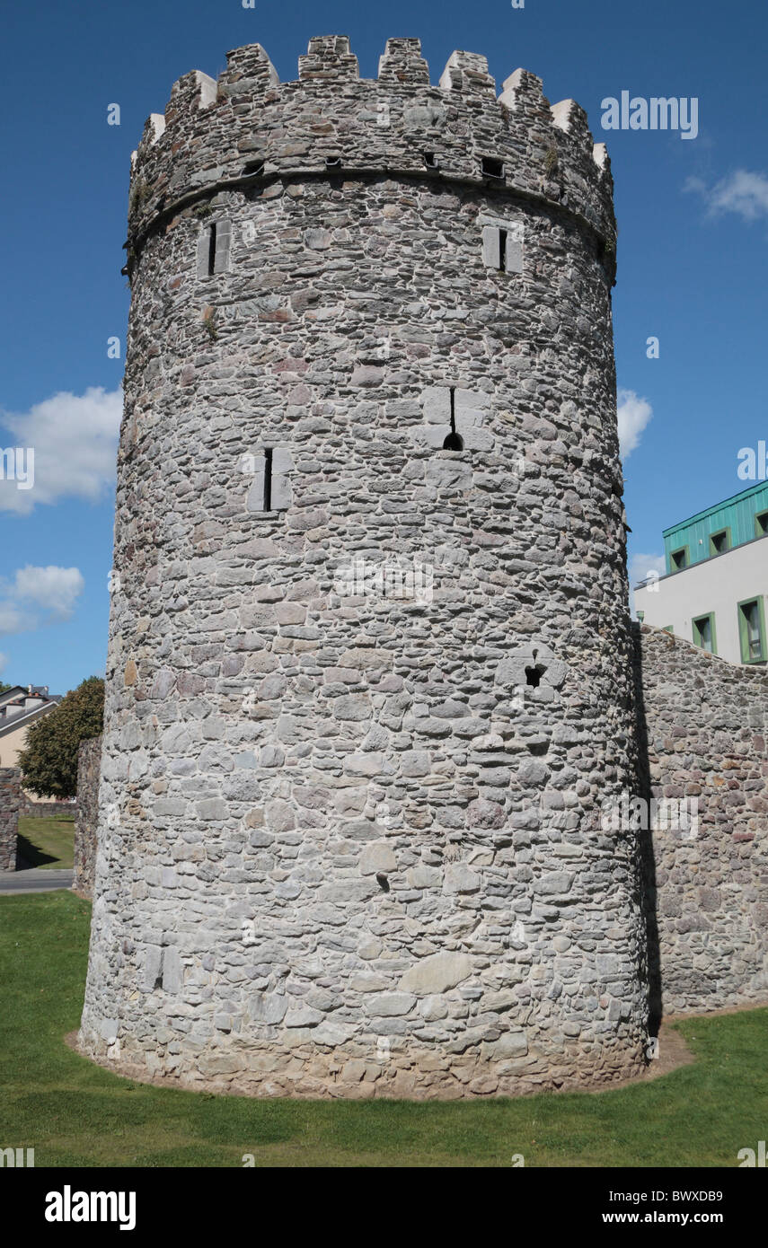 Waterford City Walls