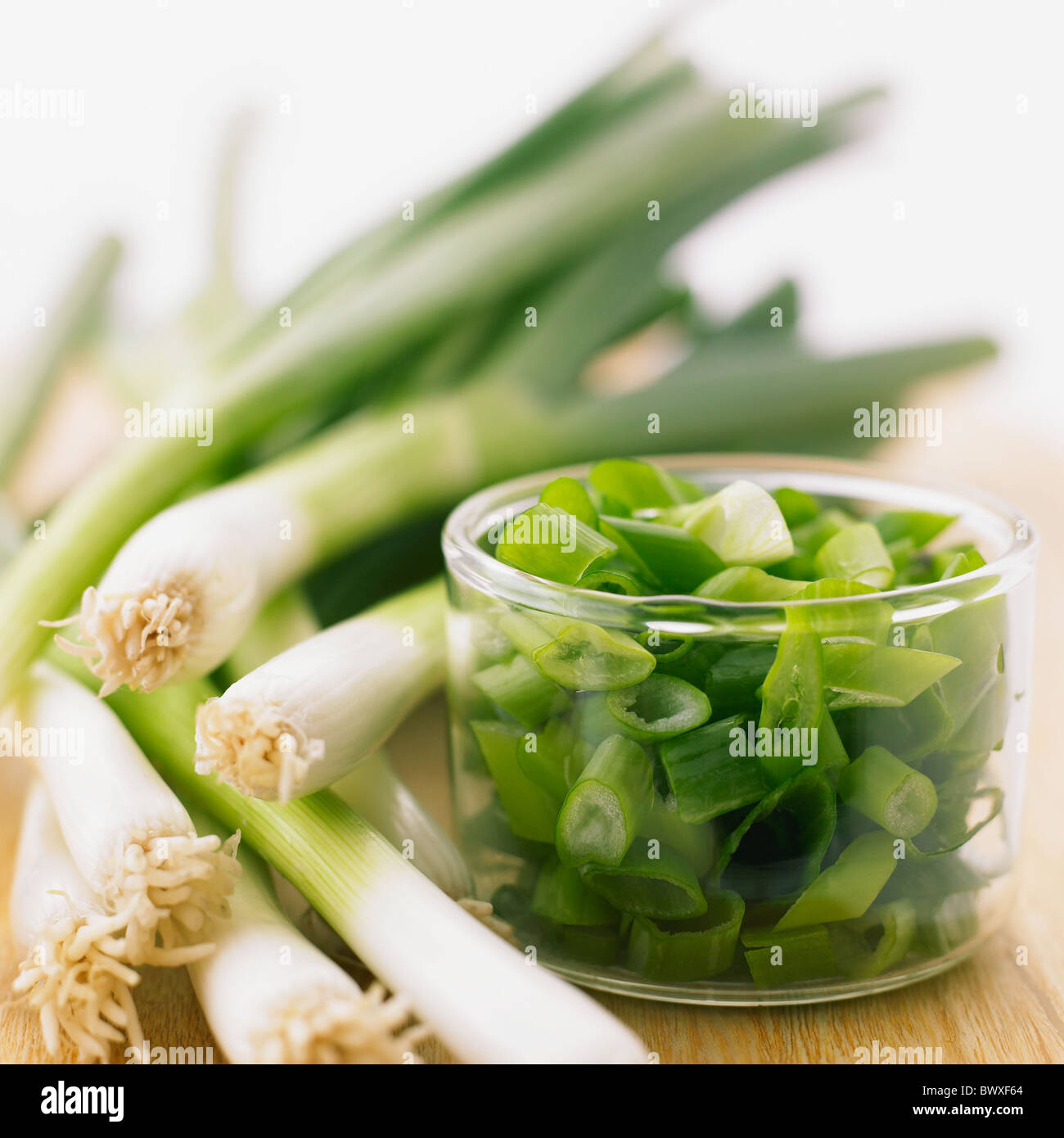 a fresh young onion close up Stock Photo Alamy