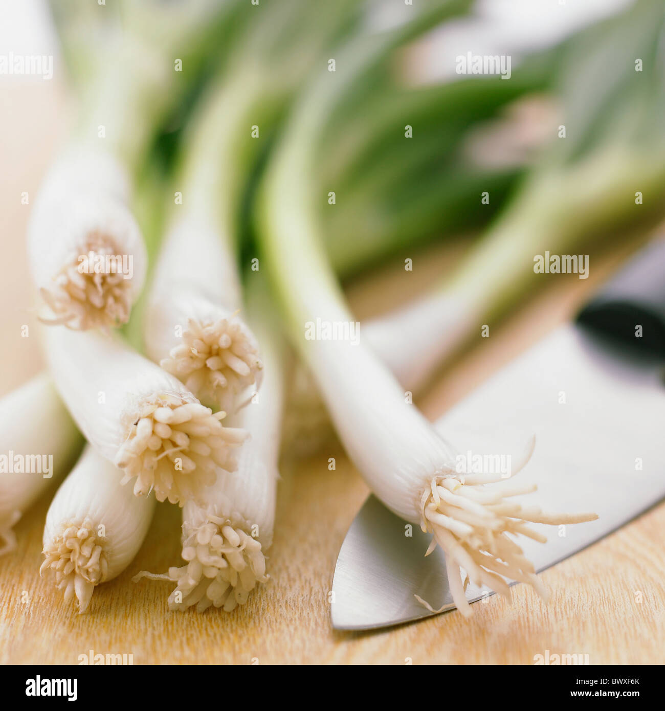 a fresh young onion close up Stock Photo Alamy