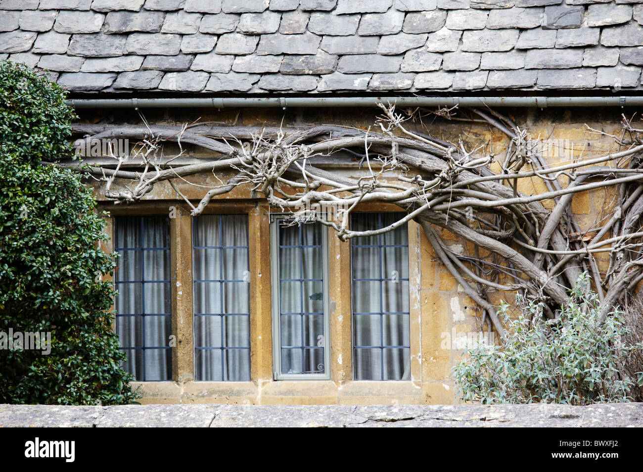 Windows in the picturesque Cotswold town of Broadway, Worcestershire Stock Photo