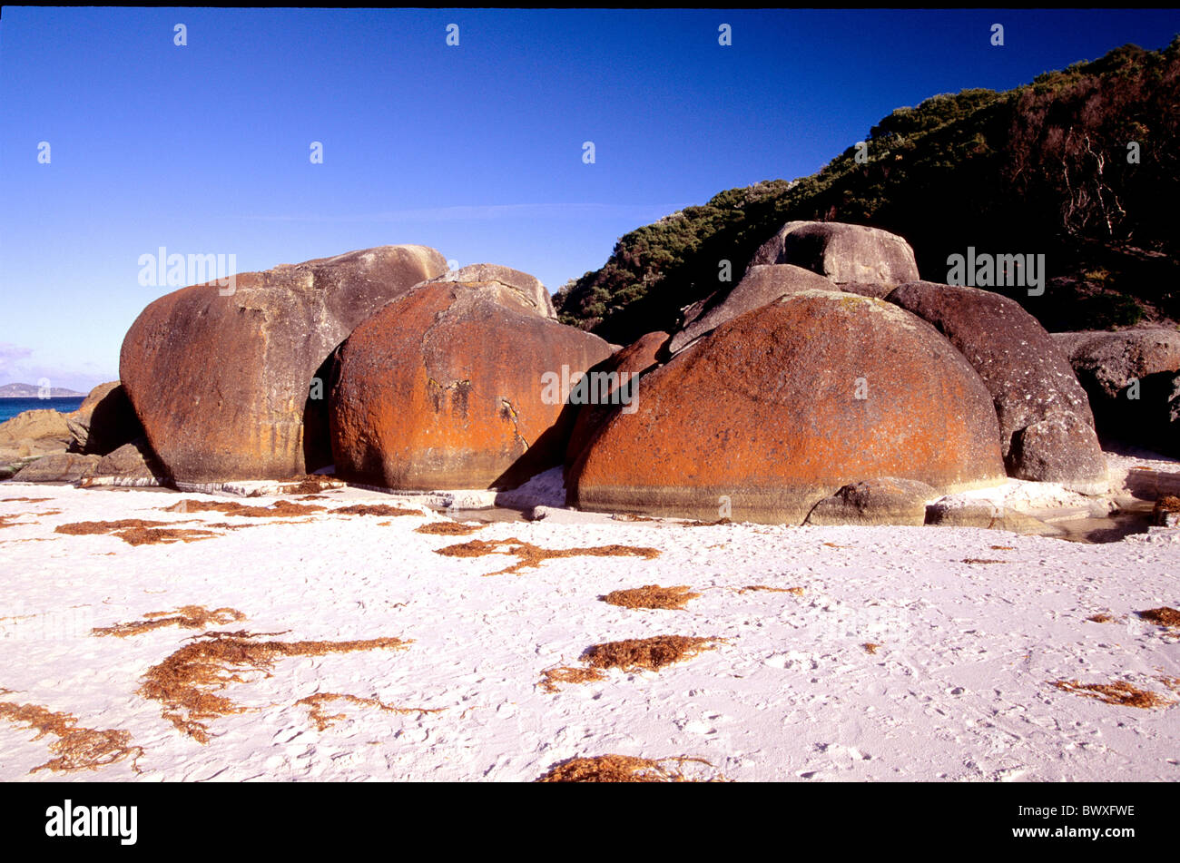 rounded rounded off algae Australia rock cliff formations groups reddish Squealy Bay beach seashore Vict Stock Photo